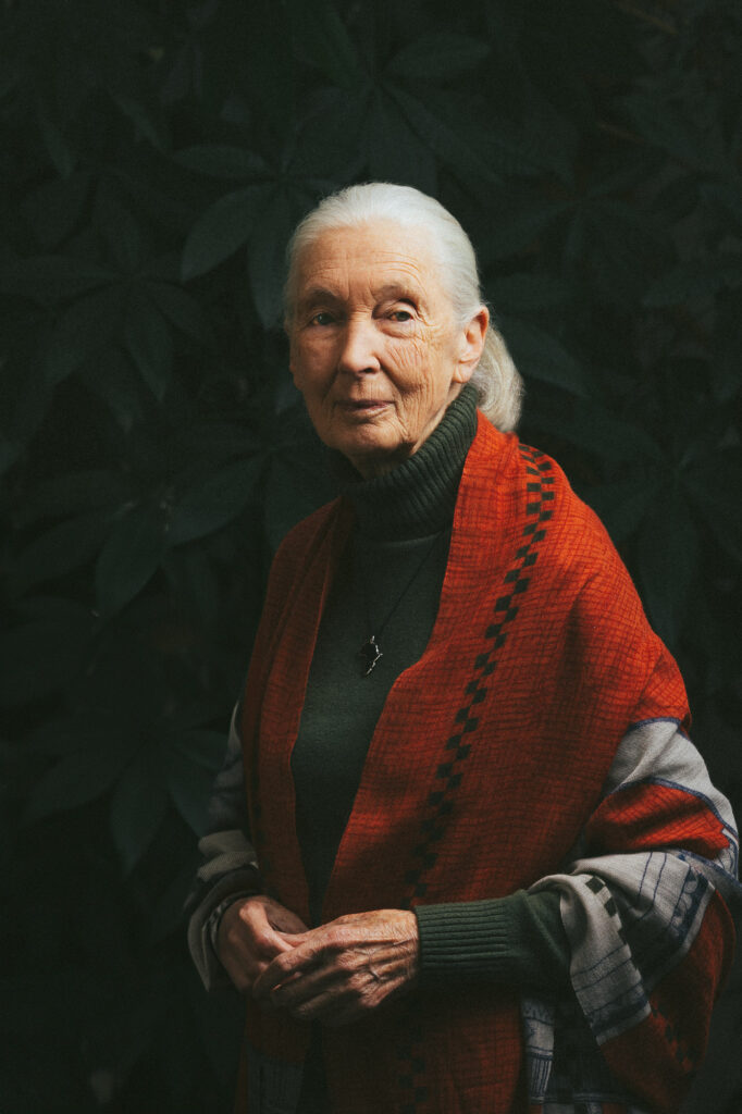 Jane Goodall